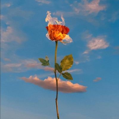 Welcome-凤凰彩票