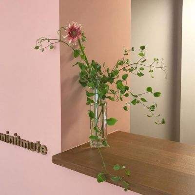 金博宝官网app下载